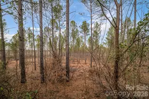 7812-A Hwy 742 Hwy, Marshville, NC 28103 - Photo 1