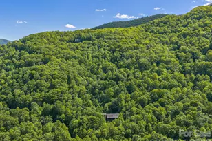 39 Great Aspen Way, Black Mountain, NC 28711 - Photo 29