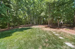 10731 Persimmon Creek Dr, Mint Hill, NC 28227 - Photo 25