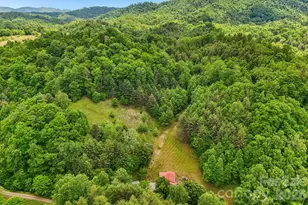 302 Battle Creek Dr, Green Mountain, NC 28740 - Photo 41