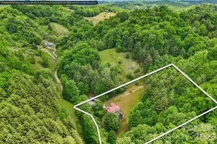 302 Battle Creek Dr, Green Mountain, NC 28740 - Photo 43