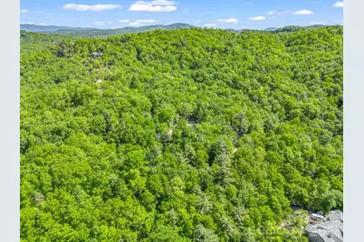352 Big Hill Road, Brevard, NC 28712 - Photo 17