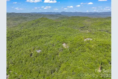 352 Big Hill Road, Brevard, NC 28712 - Photo 13