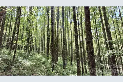 0000 Cold Mountain Road, Highlands, NC 28741 - Photo 5