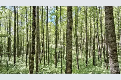 0000 Cold Mountain Road, Highlands, NC 28741 - Photo 25