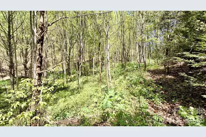0000 Cold Mountain Road, Highlands, NC 28741 - Photo 37