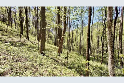 0000 Cold Mountain Road, Highlands, NC 28741 - Photo 41