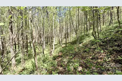 0000 Cold Mountain Road, Highlands, NC 28741 - Photo 43