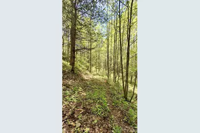 0000 Cold Mountain Road, Highlands, NC 28741 - Photo 13