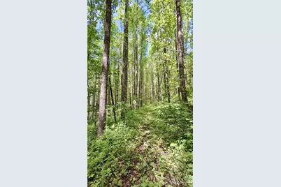 0000 Cold Mountain Road, Highlands, NC 28741 - Photo 27