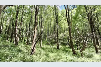 0000 Cold Mountain Road, Highlands, NC 28741 - Photo 35