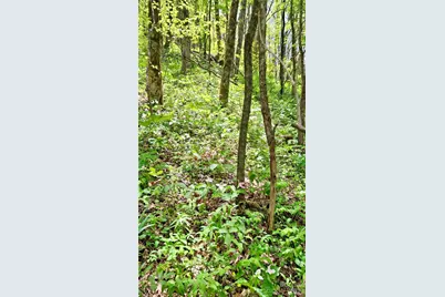 0000 Cold Mountain Road, Highlands, NC 28741 - Photo 39