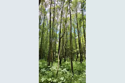 0000 Cold Mountain Road, Highlands, NC 28741 - Photo 23