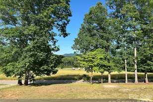 370 Walker Rd, Nebo, NC 28761 - Photo 5