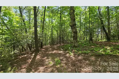 262 Wingfield Way, Brevard, NC 28712 - Photo 7