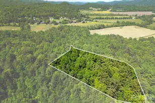 262 Wingfield Way, Brevard, NC 28712 - Photo 1