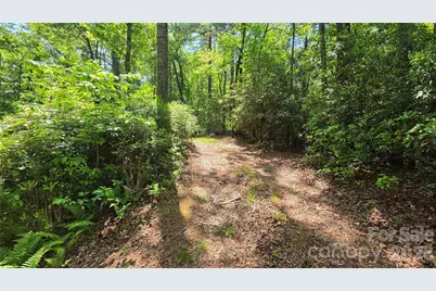 262 Wingfield Way, Brevard, NC 28712 - Photo 3