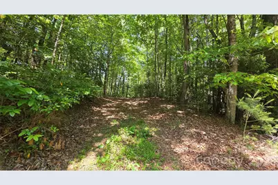 262 Wingfield Way, Brevard, NC 28712 - Photo 11
