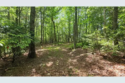 262 Wingfield Way, Brevard, NC 28712 - Photo 5
