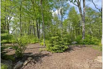 576 Eagle Springs Trail, Banner Elk, NC 28604 - Photo 39