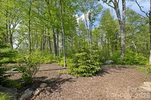576 Eagle Springs Trail, Banner Elk, NC 28604 - Photo 39
