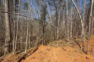Tbd Avenida De Oro Rd, Morganton, NC 28655 - Photo 1