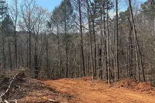 Tbd Avenida De Oro Rd, Morganton, NC 28655 - Photo 1