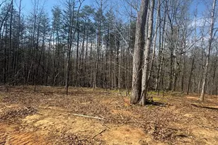 Tbd Avenida De Oro Rd, Morganton, NC 28655 - Photo 1