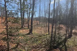 Tbd Avenida De Oro Rd, Morganton, NC 28655 - Photo 1