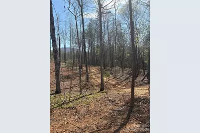 Tbd Avenida De Oro Road #2.2, Morganton, NC 28655 - Photo 3