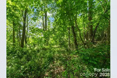 88 Hamilton Acres Drive, Hendersonville, NC 28791 - Photo 9