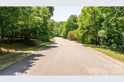 163 Shenandoah Loop, Troutman, NC 28166 - Photo 3