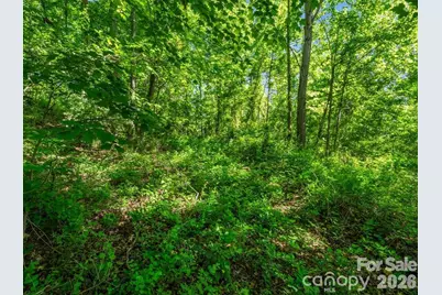 00 Hamilton Acres Drive, Hendersonville, NC 28792 - Photo 7