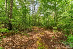 4082 Hwy 126 Hwy, Morganton, NC 28655 - Photo 23
