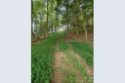 741 & 99999 Morrow Branch Road, Leicester, NC 28748 - Photo 5