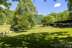 741A Morrow Branch Rd, Leicester, NC 28748 - Photo 7
