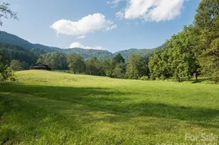 741A Morrow Branch Rd, Leicester, NC 28748 - Photo 5