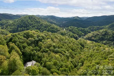592 Susanna Cove Road, Mars Hill, NC 28754 - Photo 39