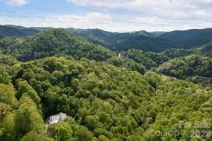 592 Susanna Cove Rd, Mars Hill, NC 28754 - Photo 39