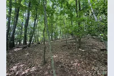 0000 Hardwood Summit Drive #191, Hendersonville, NC 28739 - Photo 5