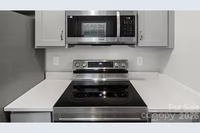 613 Hoskins Ridge Lane, Charlotte, NC 28216 - Photo 11