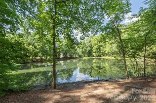 540 Rough Hewn Ln, Rock Hill, SC 29730 - Photo 39