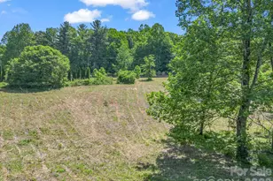 255 & 257 Crescent St, Saluda, NC 28773 - Photo 43