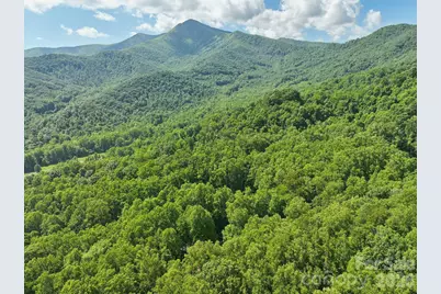 89 Apgar Road, Candler, NC 28715 - Photo 29