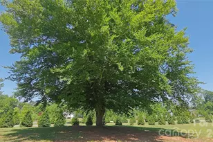 8710 Stokes Ferry Rd, Salisbury, NC 28146 - Photo 27