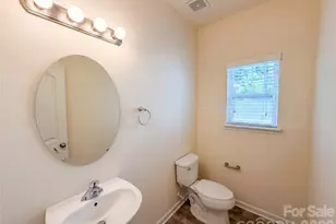 13809 Singleleaf Lane, Charlotte, NC 28278 - Photo 13