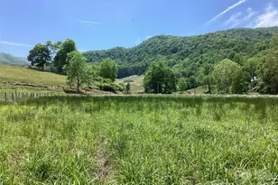 00 Bolens Creek Rd, Burnsville, NC 28714 - Photo 1