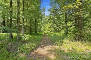 9151 Vagabond Rd, Charlotte, NC 28227 - Photo 45