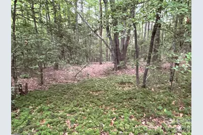00 J Thomas Road, Morganton, NC 28655 - Photo 5