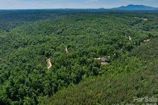 419 Travelers Rest Ln, Rutherfordton, NC 28139 - Photo 31